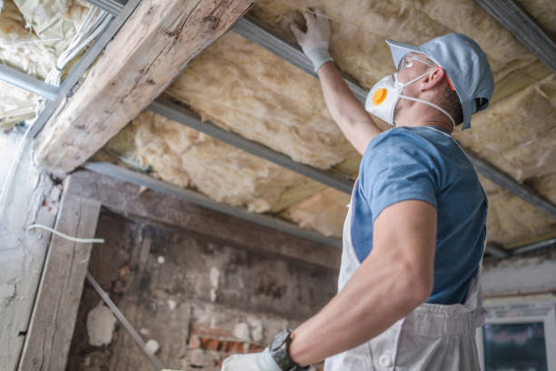 Best Cellulose Insulation  in Oberlin, KS