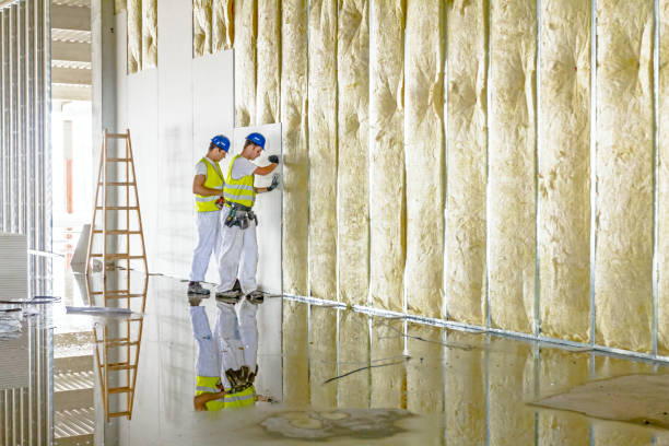 Insulation Replacement Services in Oberlin, KS